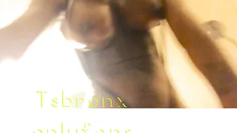 TSBronx onlyfans Sex Toys