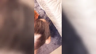 miabandini69 onlyfans in stockings teased pussy lying on her back