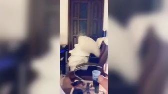 miabandini69 onlyfans 09 august 2020