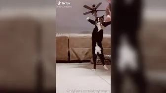 dylanjamesxo onlyfans luxurious blonde straddled sex toy