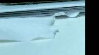 cnplove12819d chaturbate a bitch with tattoos flaunts her body