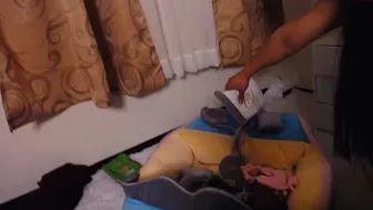 angel_smile_ chaturbate Black-haired curva