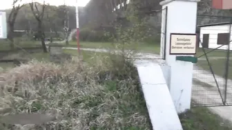 watch sex in the car