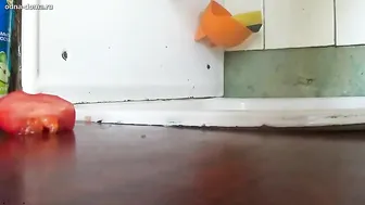 Freaks with pink samotyk