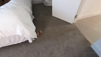 miss_swedish_bella onlyfans hot prostitute fucks in both holes