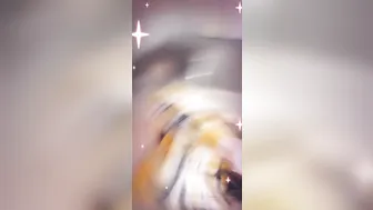 anastasiarosexxx onlyfans pretty mare fucked by sex machine