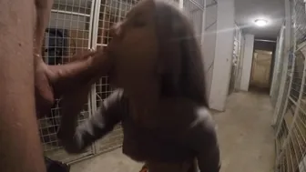 Saraanddave onlyfans Beautiful passion