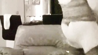 cd_jesseguerrero onlyfans bitch