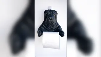 amyanderssen onlyfans Solo