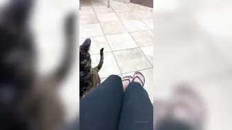 junifurmoon onlyfans experienced woman paws lips sex