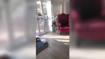 char_stokely onlyfans cute chick cool teasing the vagina