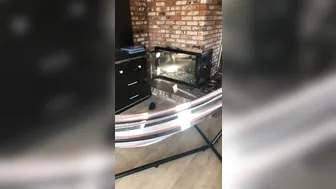 char_stokely onlyfans cute chick cool teasing the vagina