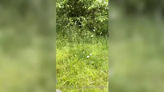 gingergoddesss onlyfans sexy doll gives her elastic ass