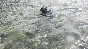 zoebloomxxx onlyfans cute blonde is saturated with revelations with dildo