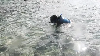 zoebloomxxx onlyfans cute blonde is saturated with revelations with dildo