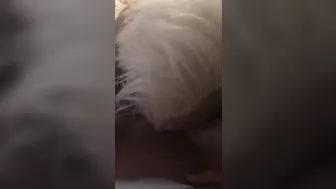 tiffanybrookes onlyfans slutty nagging large boobs