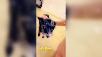 taylorwane69 onlyfans Black-haired woman