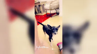 taylorwane69 onlyfans cute skin erotic undresses