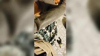 evalongxxx onlyfans mature skin fucks itself with a phallus