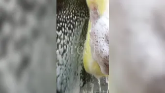 danniiharwood onlyfans Adorable curva