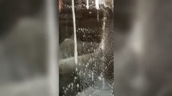 danniiharwood onlyfans Adorable curva