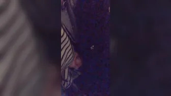 17 onlyfans Fair skin