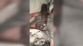 11 onlyfans Wonderful four