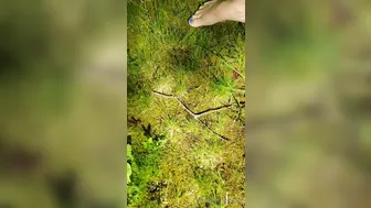 subrinasky onlyfans 04 august 2020