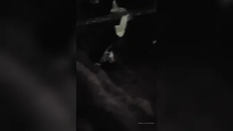 paolaferrer081891 sexy babe plays with pussy