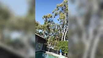 downundercple lustful female passionately fucks her cunt