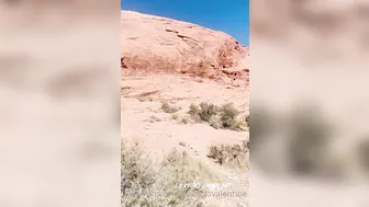 tsvegasvalentine 12 January 2020