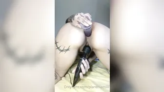 plantmamiiii  the stubborn tigress relaxes in all ways.