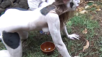 preggomilky 05 august 2020