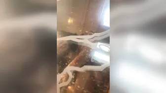 ms fernandes 25 Busty Shmara