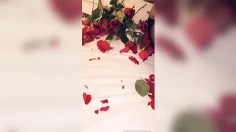 ms fernandes 25 appetizing pussy posing in some stockings