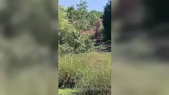 lola lily xxx jerking off the clit on the bed