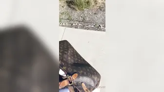 missmeforever harley quinn fucks sex toys