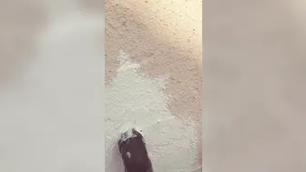 bethundressed Vicious bitch