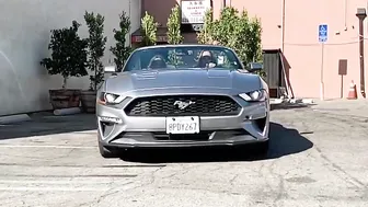 siripornstar Gourmet shmarina