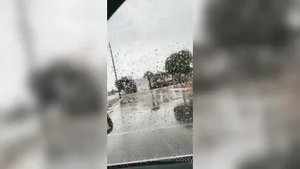 officialkmbooty Naughty beast