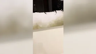 momanddaughter crazy slut rees both holes