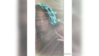 moniquebrownie lovely bitch