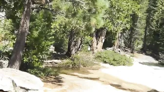 mindimink a bitch eating a banana