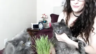 amandarox Cute chick sucks cock and gets her pussy fucked