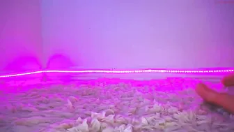 eevie_moon Babe in socks fucks both holes