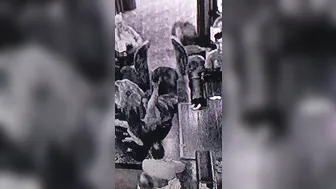 mindimink Busty blonde