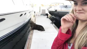 lexiefux crazy girl plows pussy with phallus