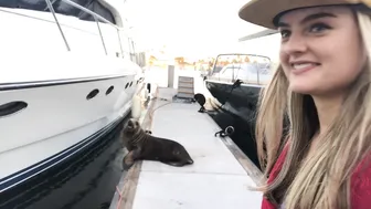 lexiefux crazy girl plows pussy with phallus
