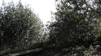 eeveefrost honest bum