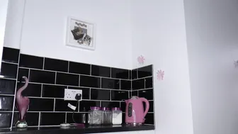 Penny Lee Gourmet mare